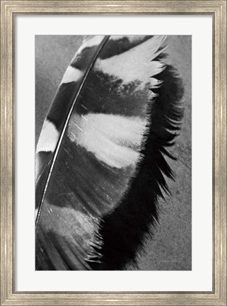 Framed Feather Shadow I Print