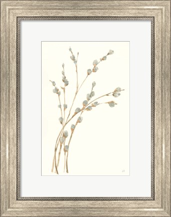 Framed Pussy Willows II Print