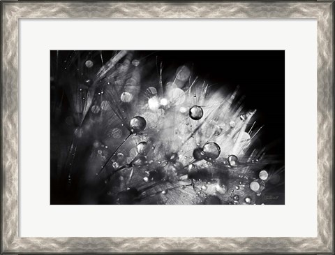 Framed Dandelion Abstract I Print