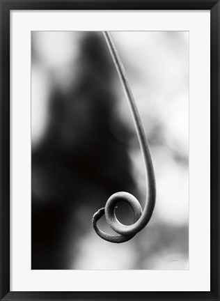 Framed Curly Cue Print