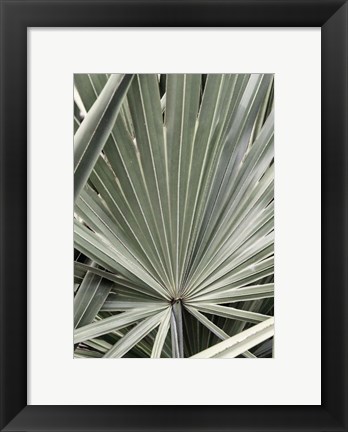 Framed Organic Palm I Print
