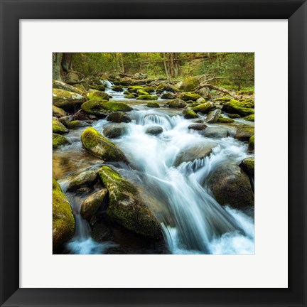 Framed Forest River Print