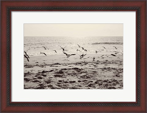 Framed Dream of the Beach I Print