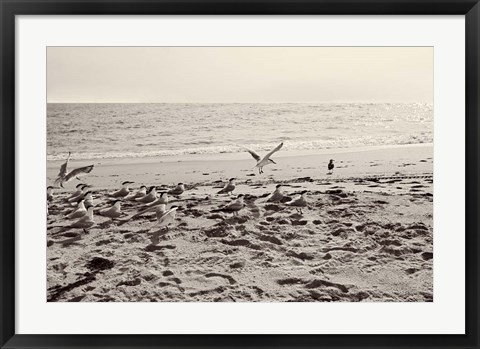 Framed Dream of the Beach II Print