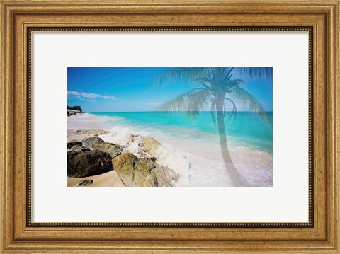 Framed Palm by the Rocks Print