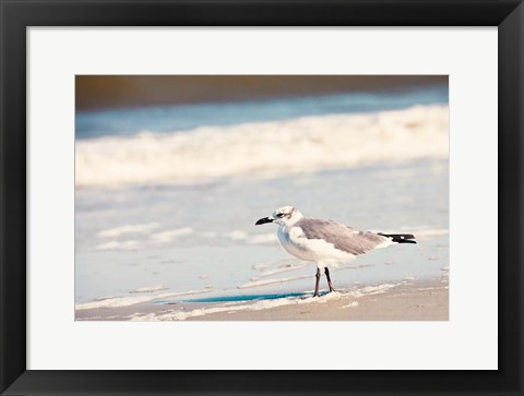 Framed See the Seagull Print
