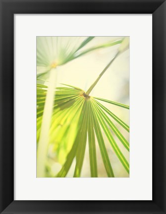 Framed Among Palms II Print