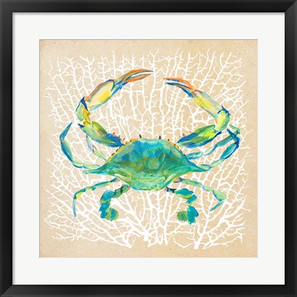 Framed Sealife Crab Print