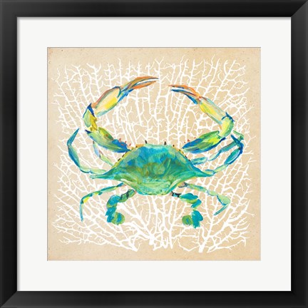 Framed Sealife Crab Print