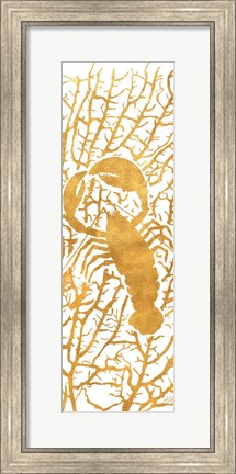Framed Sealife on Gold II Print
