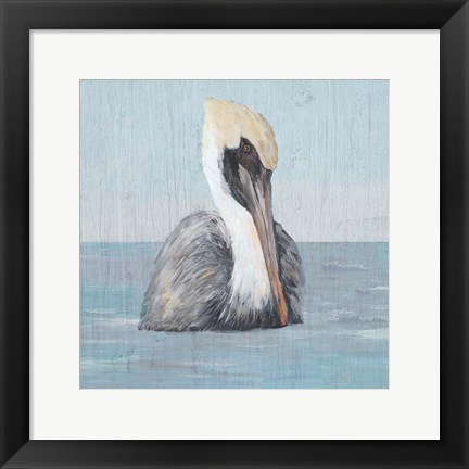 Framed Pelican Wash II Print