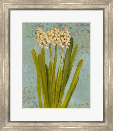 Framed Hyacinth on Teal II Print