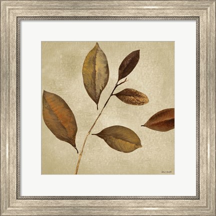 Framed Antiqued Leaves I Print