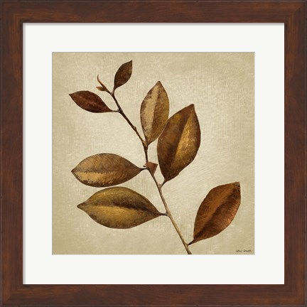 Framed Antiqued Leaves II Print