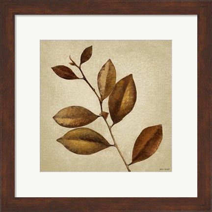 Framed Antiqued Leaves II Print