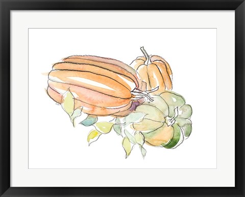 Framed Harvest Pumpkin and Squash I Print