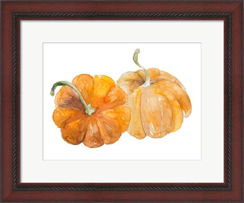 Framed Pumpkin Harvest II Print