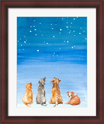 Framed Four Dogs Star Gazing Print