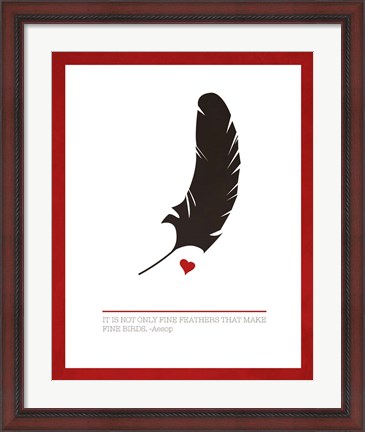 Framed Fine Feathers Print