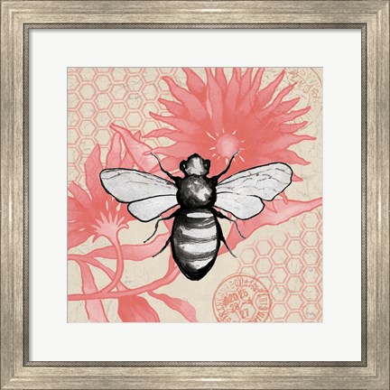 Framed Bee on Pink Flower Square Print