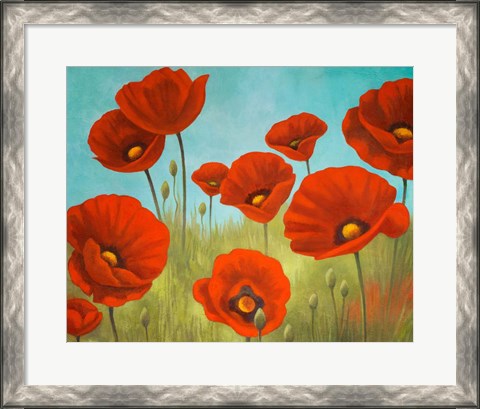 Framed Field of Poppies II Print