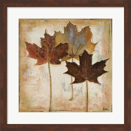 Framed Natural Leaves III Print