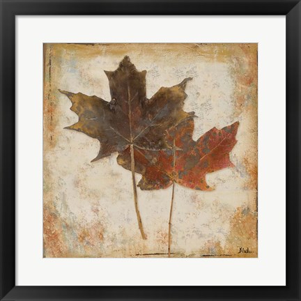 Framed Natural Leaves IV Print