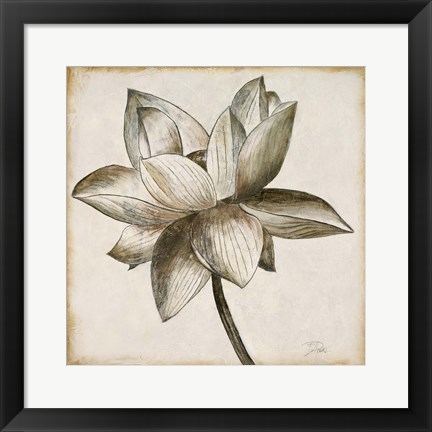 Framed Sepia Lotus I Print