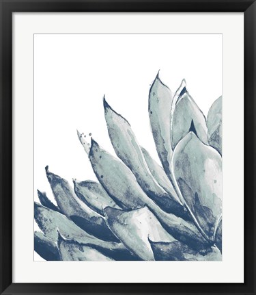 Framed Blue Agave on White I Print
