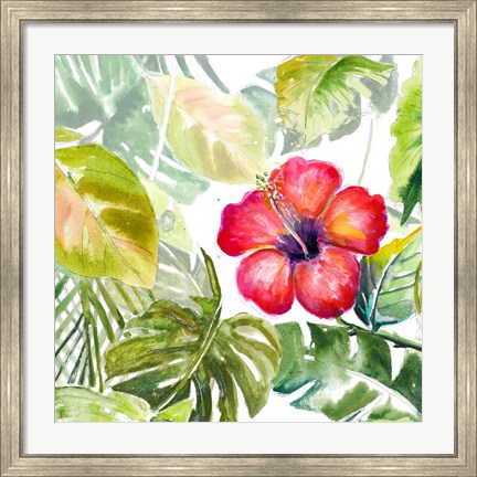 Framed Hibiscus on Selva Print