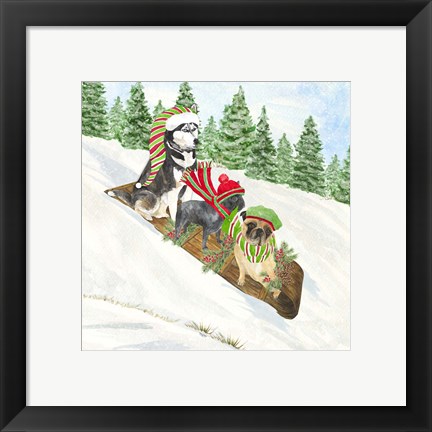 Framed Dog Days of Christmas III Sledding Print