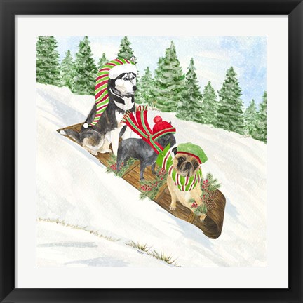 Framed Dog Days of Christmas III Sledding Print