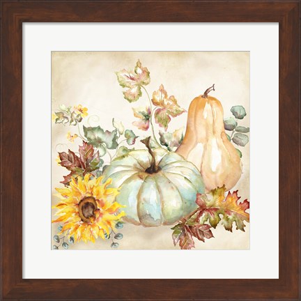 Framed Watercolor Harvest Pumpkin II Print