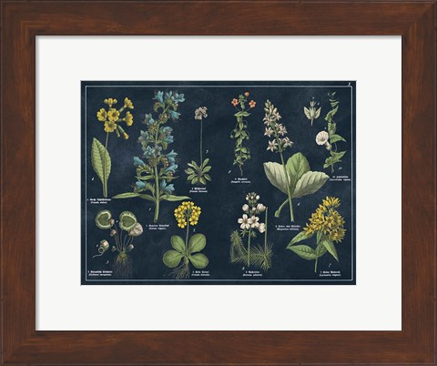 Framed Botanical Floral Chart I Dark Blue Print