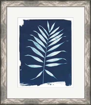 Framed Nature By The Lake - Frond I Print