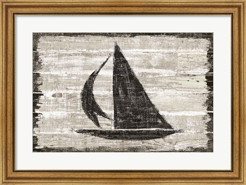 Framed Driftwood Coast II Print