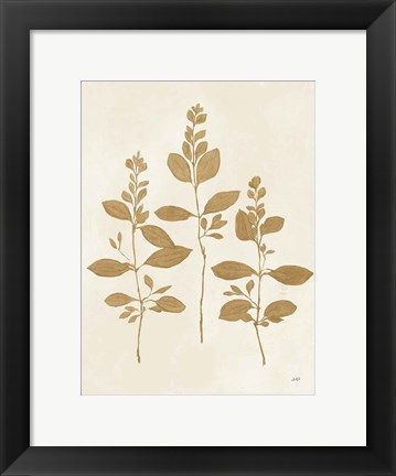 Framed Botanical Study IV Gold Crop Print