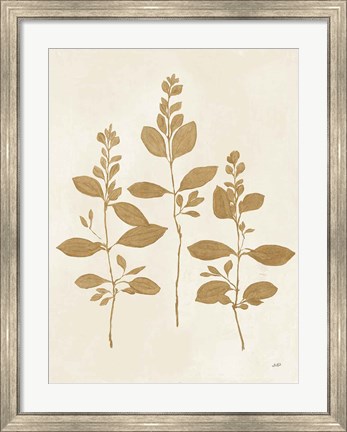 Framed Botanical Study IV Gold Crop Print