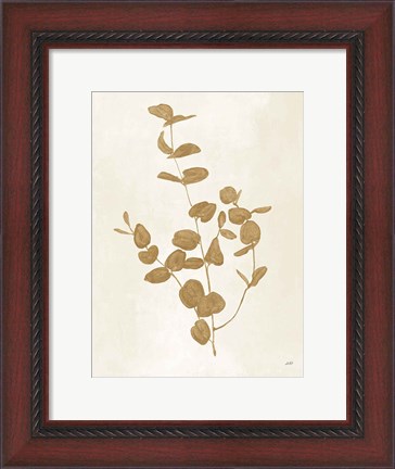 Framed Botanical Study II Gold Crop Print