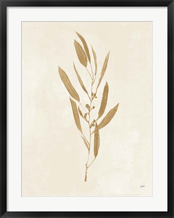 Framed Botanical Study I Gold Crop Print