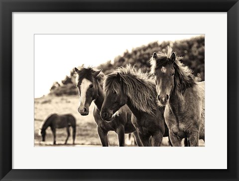 Framed Horses Three Sepia Print