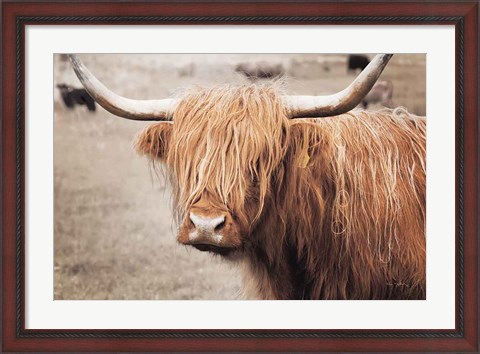 Framed Scottish Highland Cattle I Neutral Print
