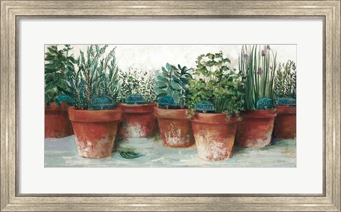 Framed Pots of Herbs II White Print