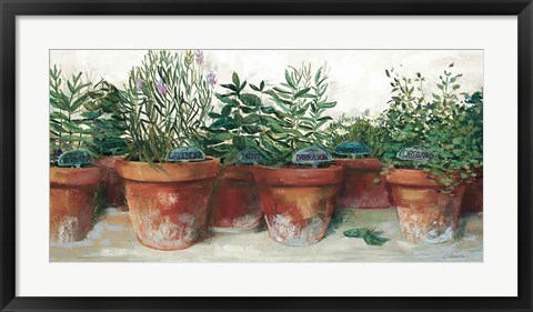 Framed Pots of Herbs I White Print