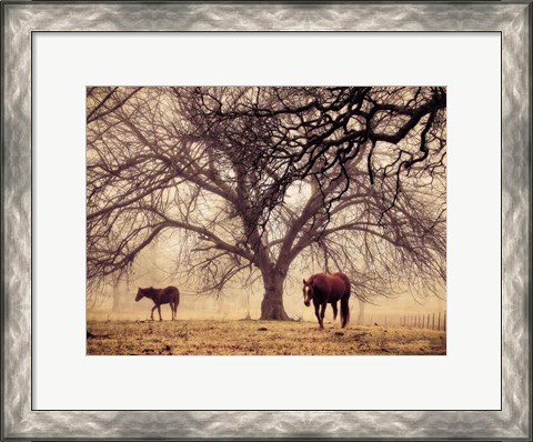 Framed Morning Calm II Print