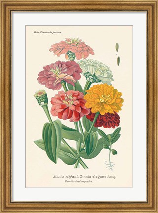 Framed Antique Botanical XLI Light Print