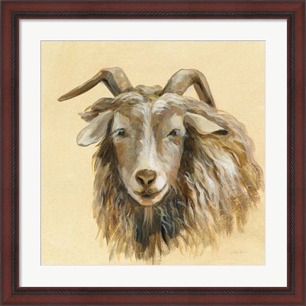 Framed Highland Animal Sheep Print
