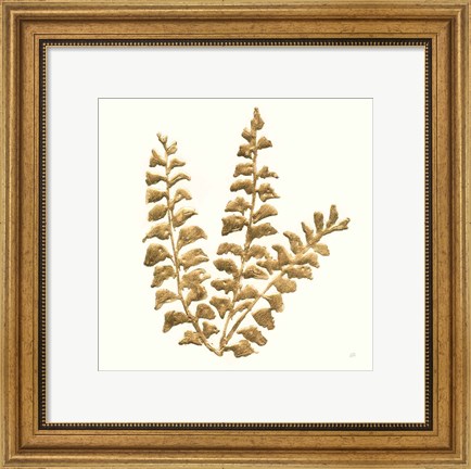 Framed Gilded Fern III Print