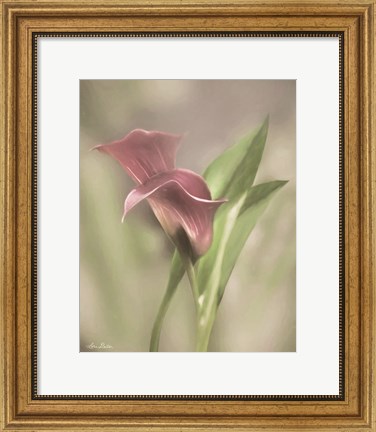 Framed Pink Calla Lily Print