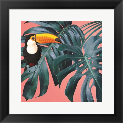 Framed Toucan Print